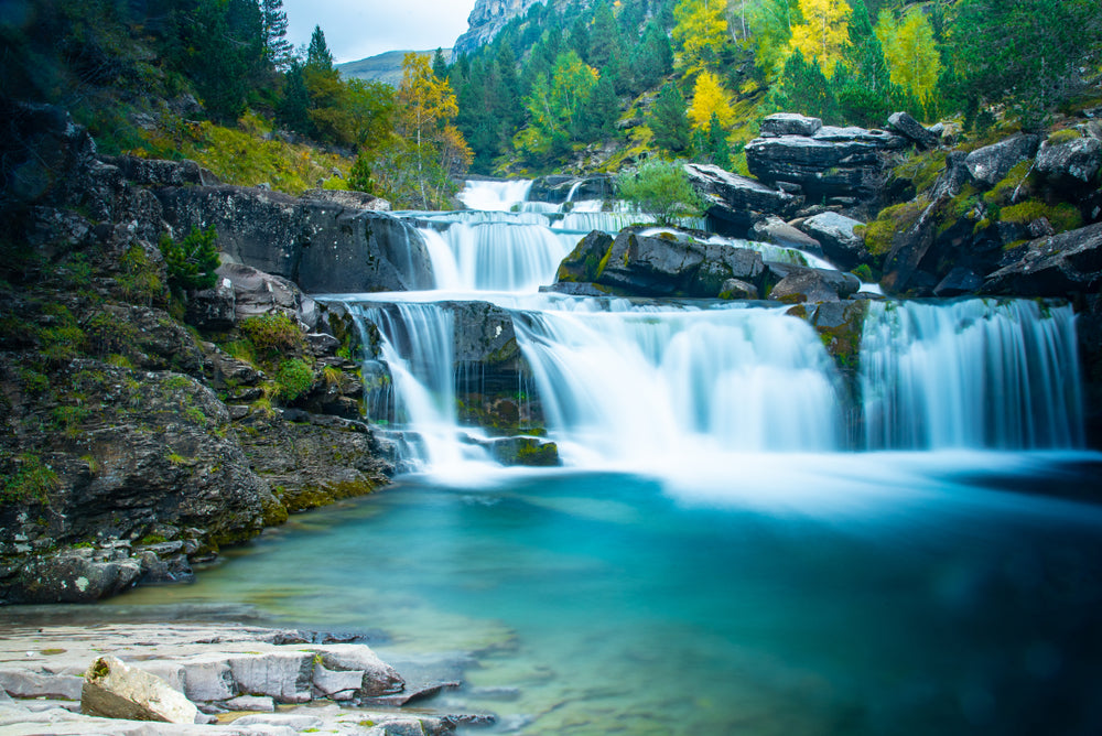 Waterfall in Forest Scenery Photograph Print 100% Australian Made