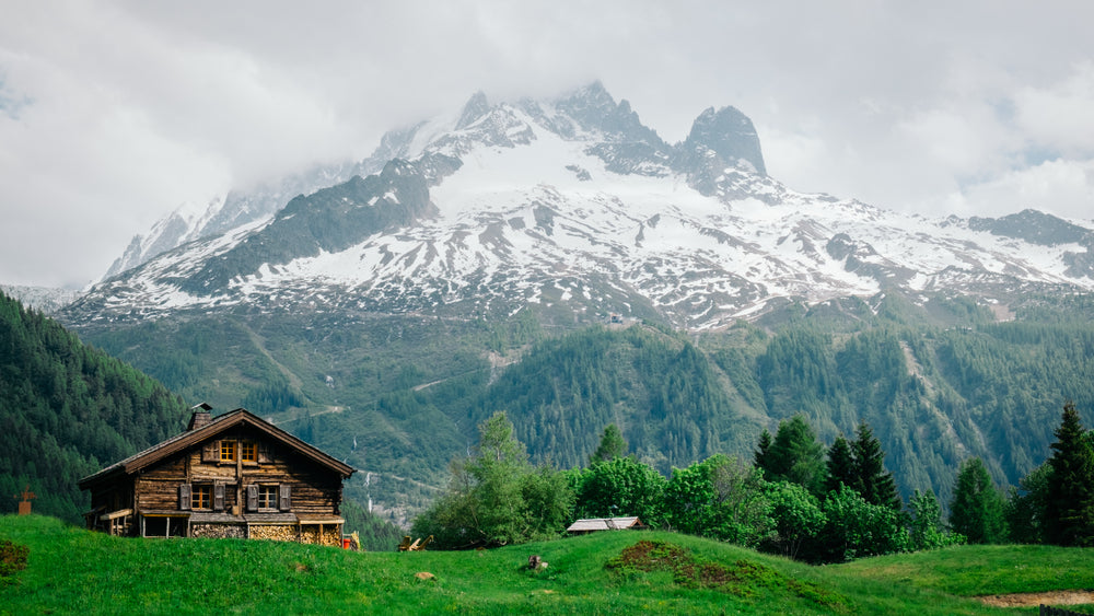 House Nature Scenery Photograph Home Decor Premium Quality Poster Print Choose Your Sizes