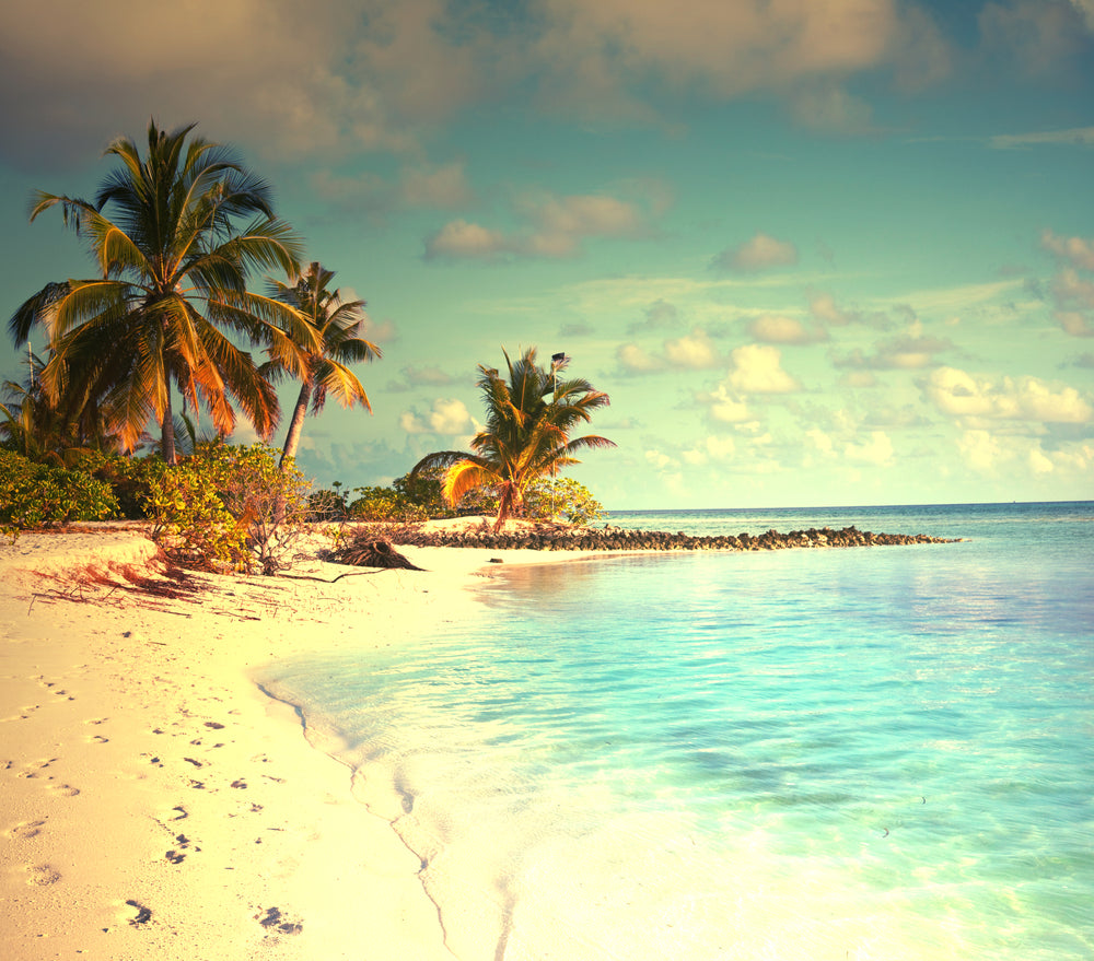 Square Canvas Beach & Palm Trees Scenery Photograph High Quality Print 100% Australian Made