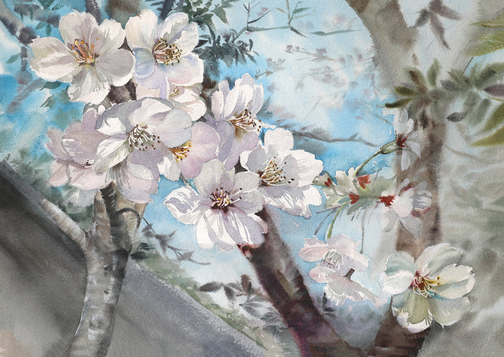 Pink Flower Tree Closeup Photograph Print 100% Australian Made