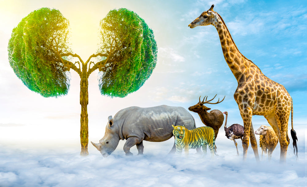 Tree & Animals Sky Photograph Home Decor Premium Quality Poster Print Choose Your Sizes