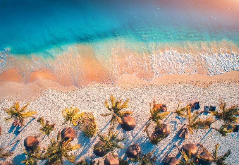 Sea, Trees Aerial View Photograph Print 100% Australian Made