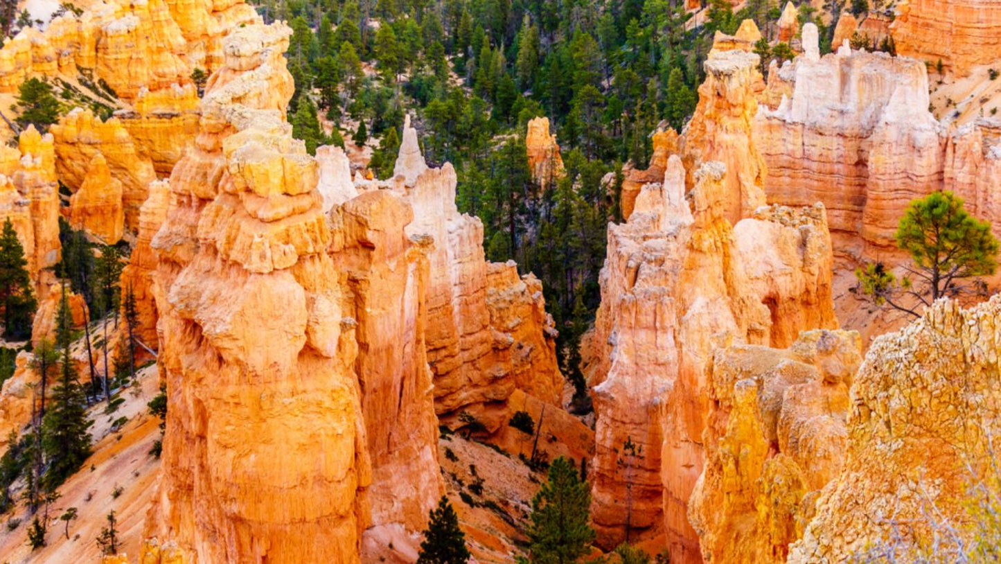 Rock Buildings Photograph Print 100% Australian Made