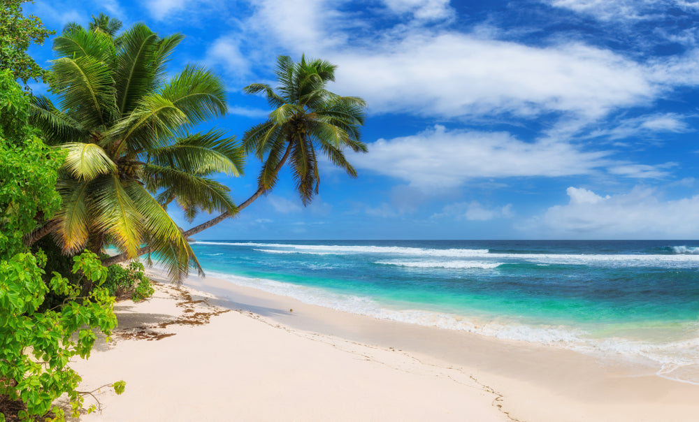 Stunning Beach Scenery Photograph Print 100% Australian Made