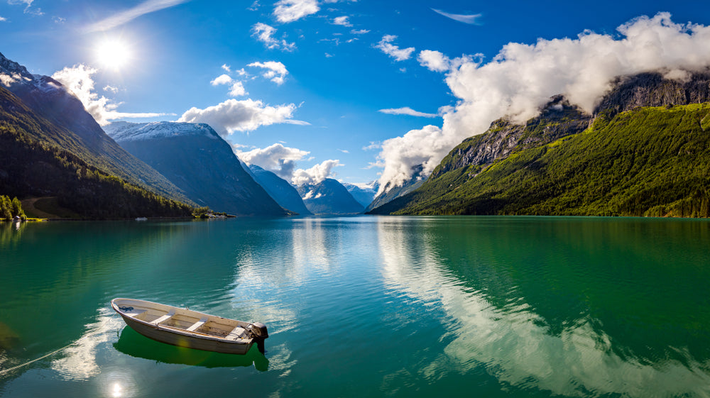 Lake & Forest Scenery Photograph Home Decor Premium Quality Poster Print Choose Your Sizes