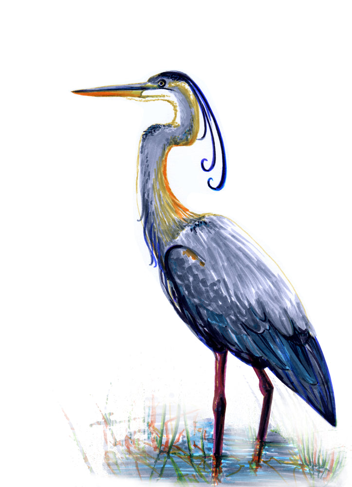 Grey Heron Watercolor Painting Print 100% Australian Made
