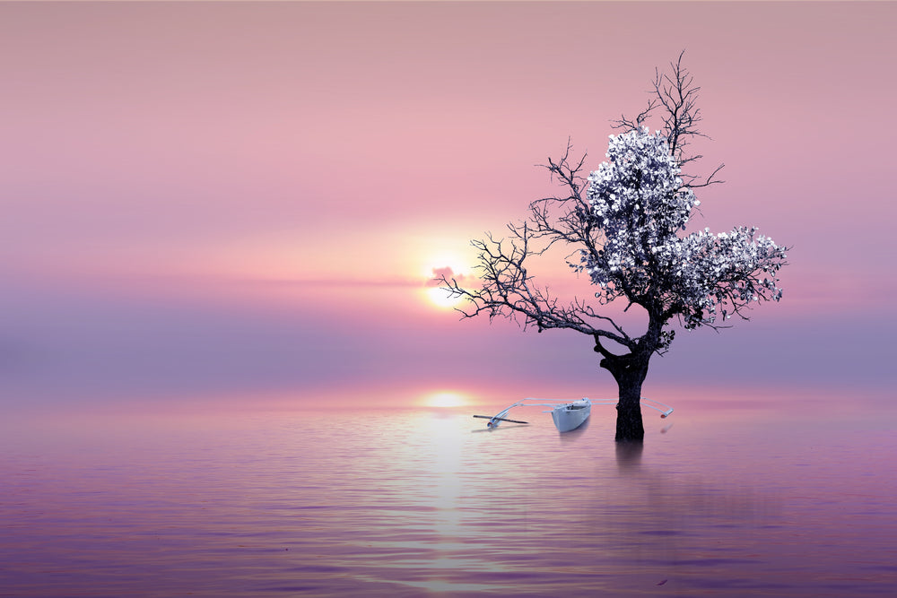 Tree in a Lake Photograph Print 100% Australian Made