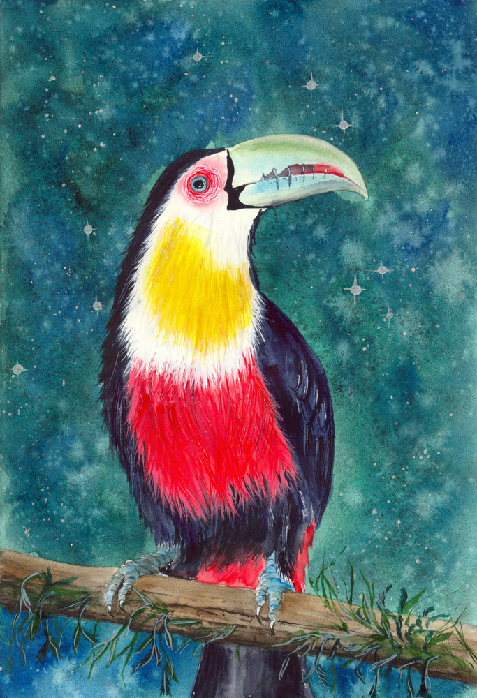 Colorful Toucan on the Tree Branch Watercolor Painting Print 100% Australian Made