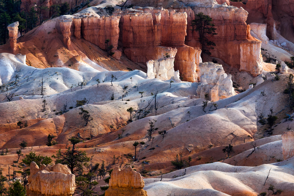 Scenic Canyon Landscape Photograph Print 100% Australian Made