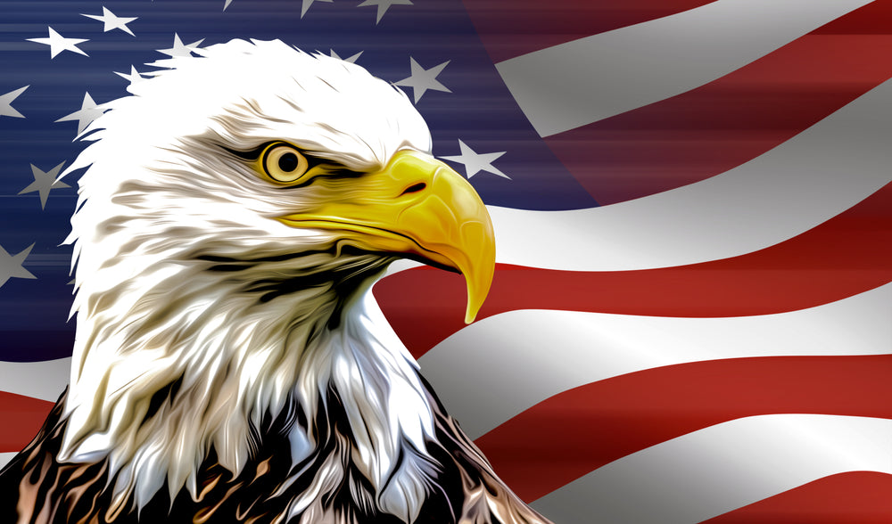 Eagle with US Flag Abstract Art Print 100% Australian Made