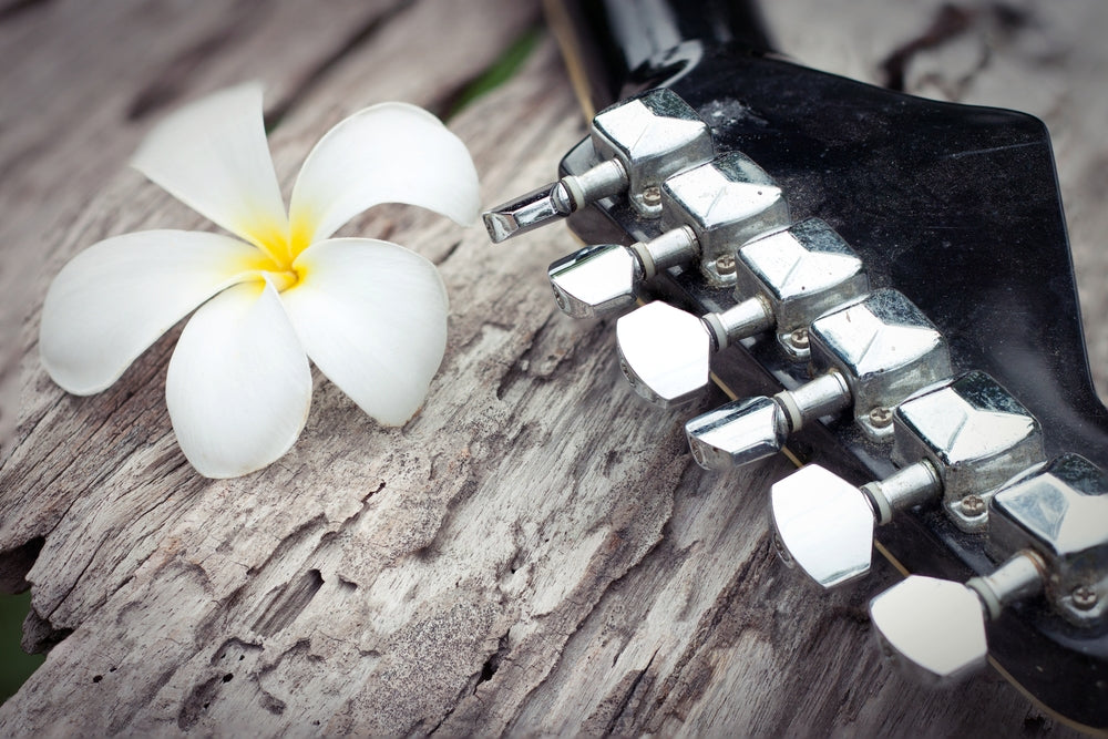 Flower & Guitar Closeup Photograph Print 100% Australian Made
