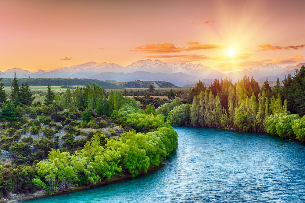 River & Forest Scenery Photograph Home Decor Premium Quality Poster Print Choose Your Sizes