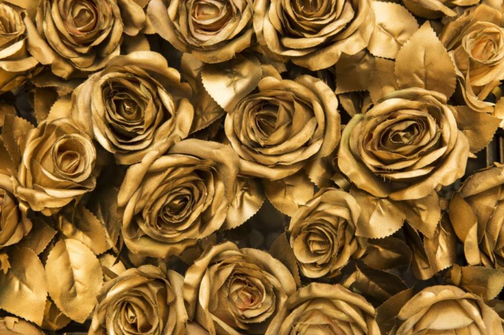 Rose Flowers Gold Photograph Home Decor Premium Quality Poster Print Choose Your Sizes