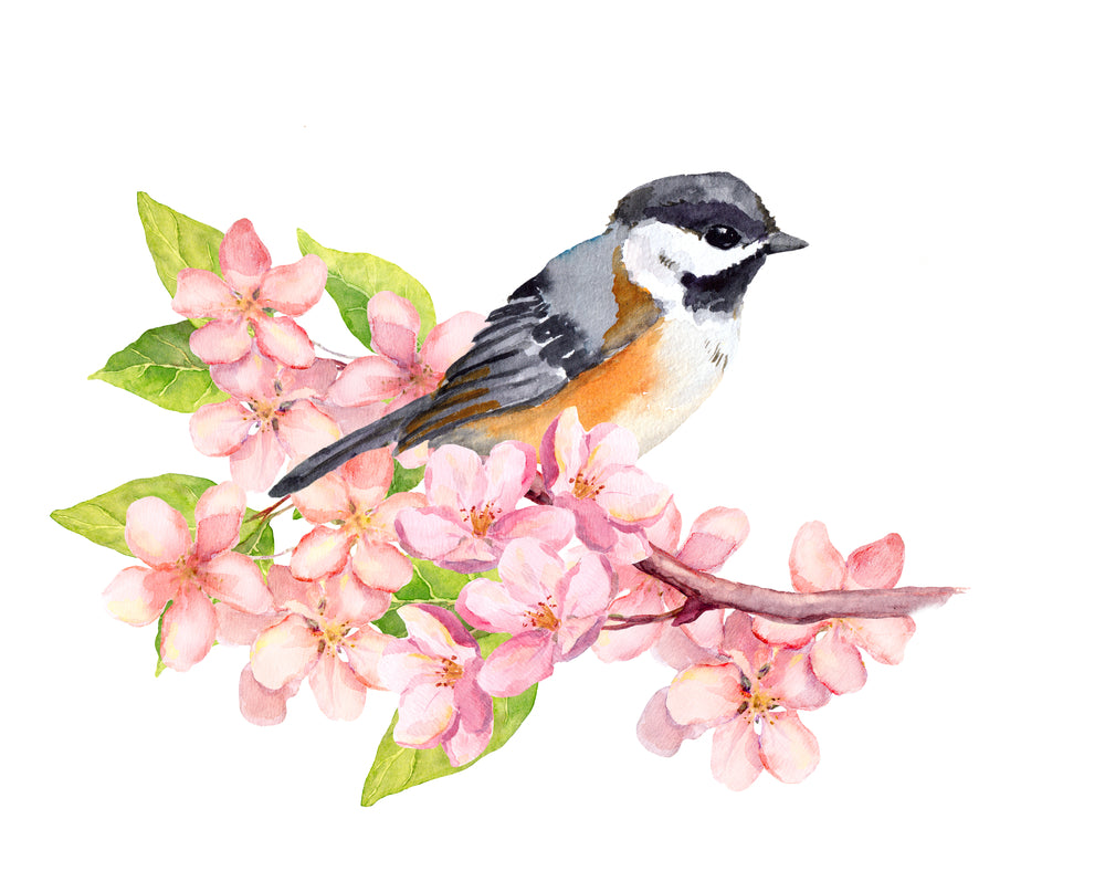 Bird on Flower Tree Branch Watercolor Painting Print 100% Australian Made