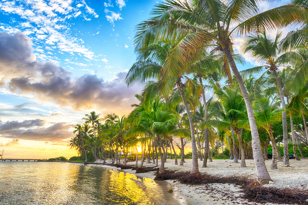 Stunning Island Beach Sunset Photograph Print 100% Australian Made