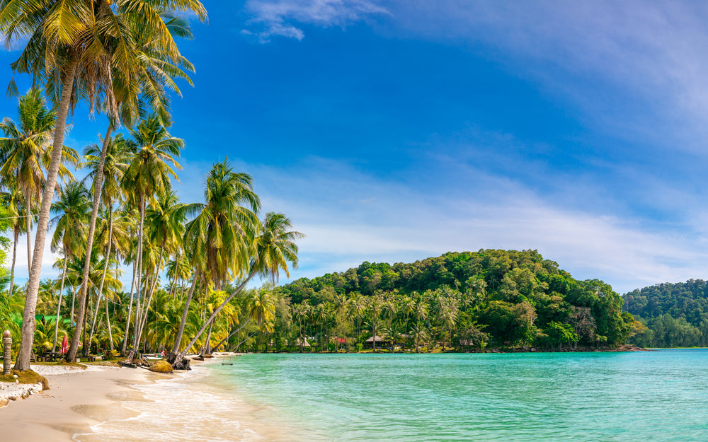 Sea & Palm Trees Scenery View Home Decor Premium Quality Poster Print Choose Your Sizes