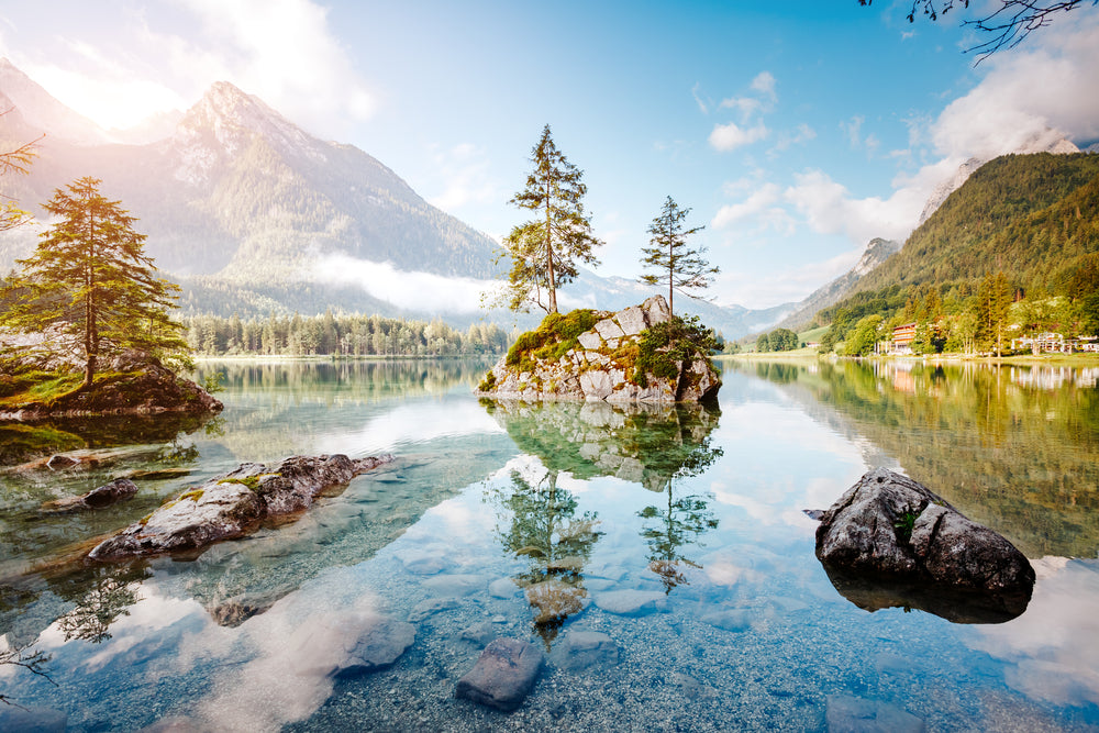 Lake & Forest Scenery Photograph Home Decor Premium Quality Poster Print Choose Your Sizes