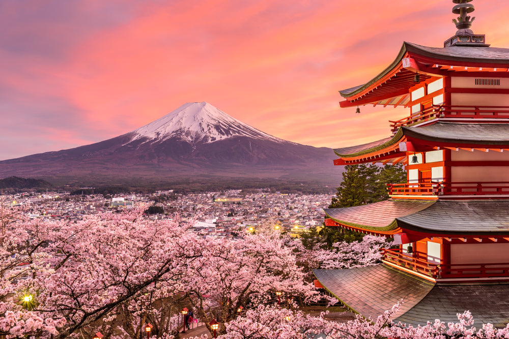 Palace & Mountain Scenery View Photograph Home Decor Premium Quality Poster Print Choose Your Sizes