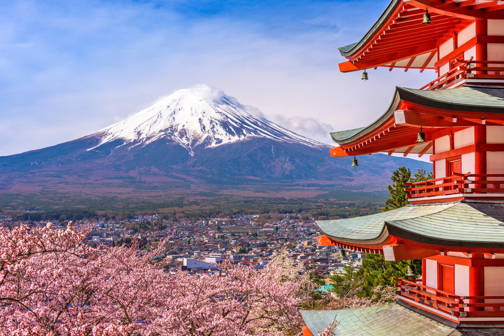Palace & Mountain Scenery View Photograph Home Decor Premium Quality Poster Print Choose Your Sizes