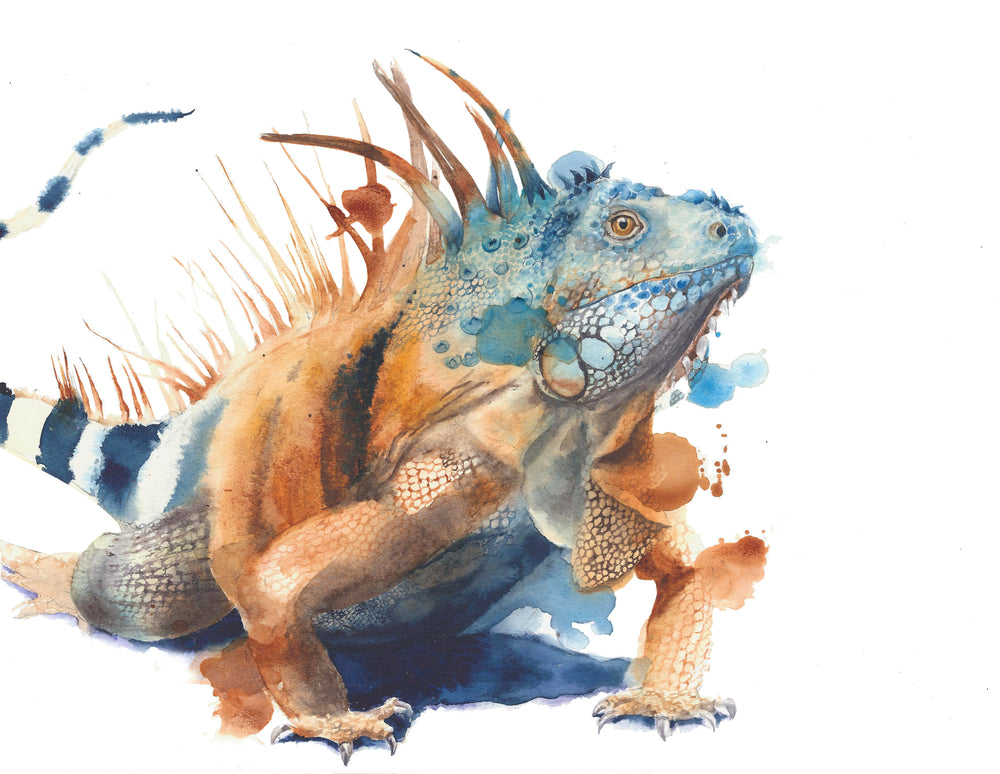 Iguana Lizard Watercolor Painting Print 100% Australian Made