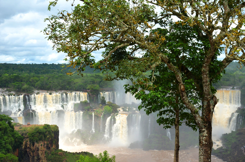 Waterfall Scenery View Photograph Home Decor Premium Quality Poster Print Choose Your Sizes