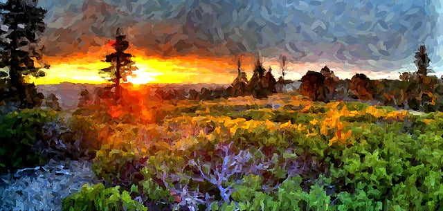 Nature Sunset Scenery Photograph Print 100% Australian Made