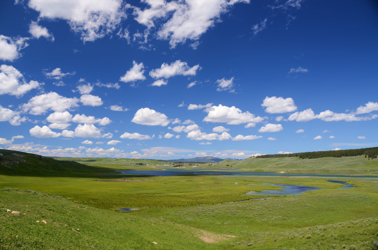 Sunning Green Meadow Scenery View Photograph Print 100% Australian Made