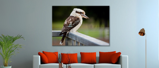 Kookaburras in Wall Art: Capturing the Spirit of the Aussie Bush