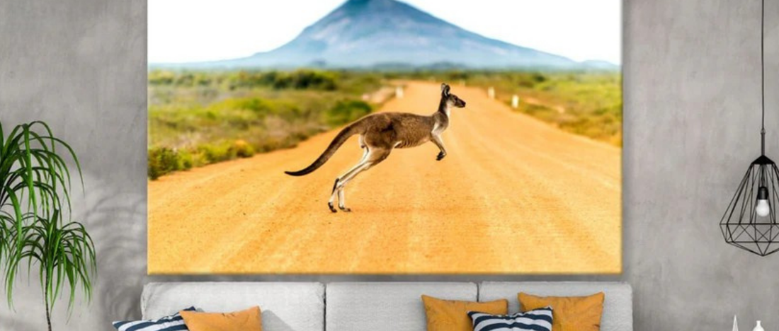 Kangaroos in Wall Art: Celebrating an Australian Icon