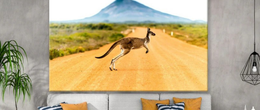 Kangaroos in Wall Art: Celebrating an Australian Icon