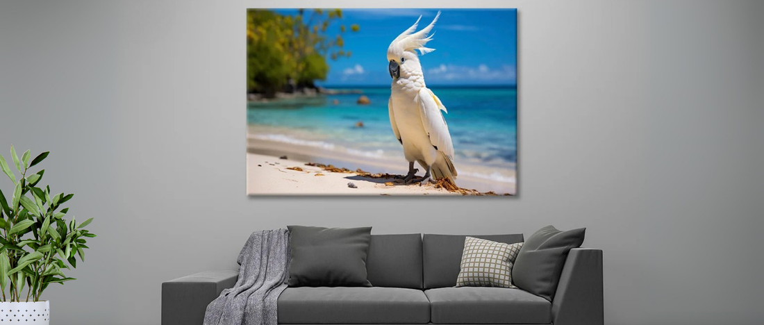 Cockatoos in Wall Art: Adding Colour and Character to Aussie Homes