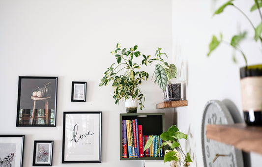 Biophilic Wall Art: Bringing Nature Indoors