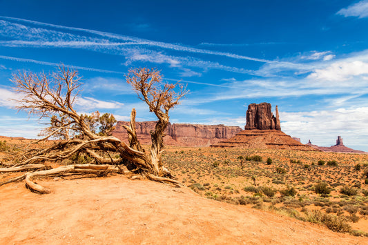 Why Australian Desert Photography Is Trending in Interior Design