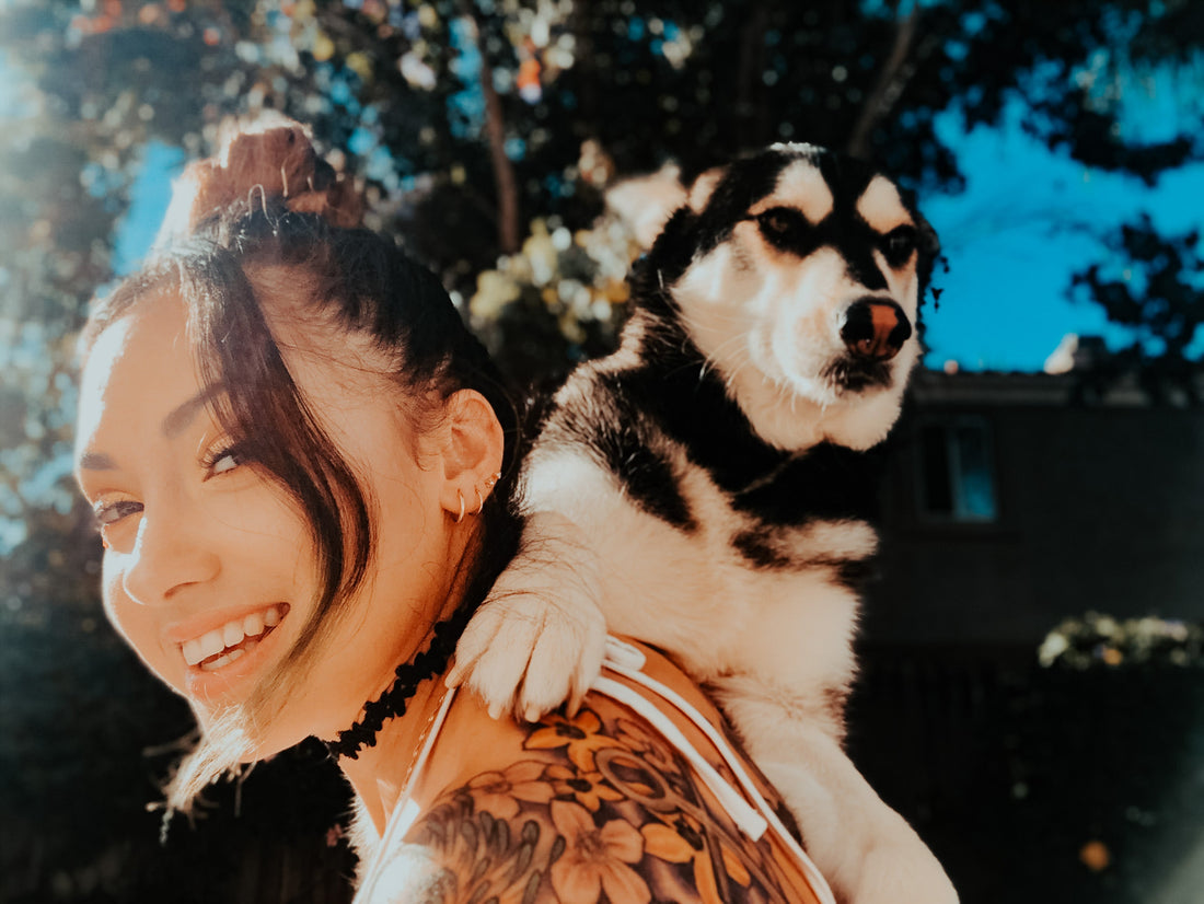 Pet-Inspired Wall Art: Celebrate Your Furry Friends in Style