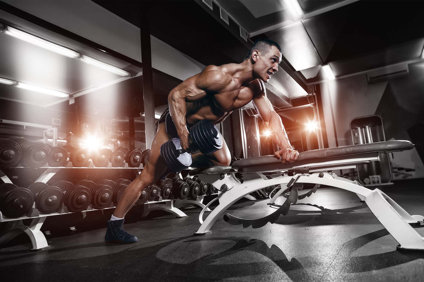 Bodybuilding Man Dumbbell Workout 5mm thick Plastic Poster Ready to Hang 90x60cm