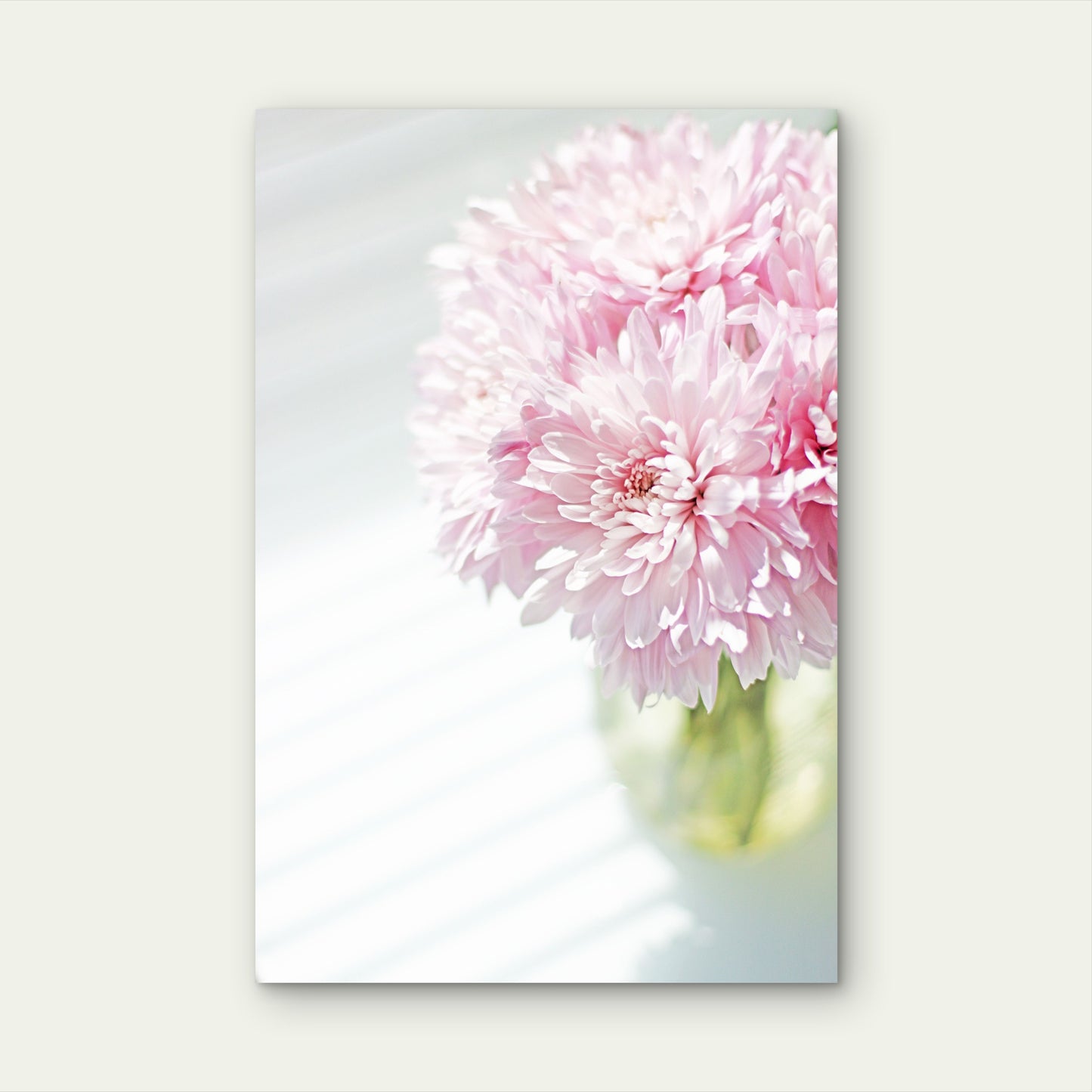 Soft Pink Chrysanthemum Flower Vase 40x60cm Metal Print Ready to Hang