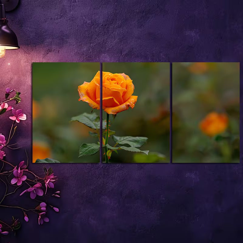 3pcs Vibrant Orange Roses in Full Bloom Wall Art Set Canvas Framed 40x60cm - High Quality Print 100% Australian Made Wall Canvas Ready to Hang