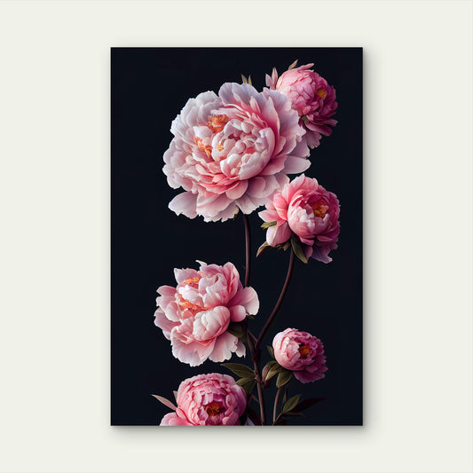 Elegant Blush Pink Peony Rose Bouquet 40x60cm Metal Print Ready to Hang