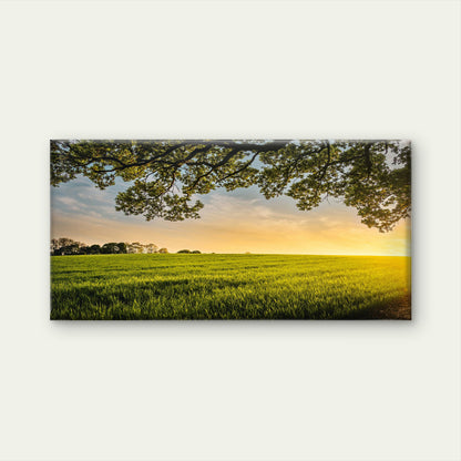 Sunset Over A Field Wall Art Canvas Office Home Room Framed 120x60cm