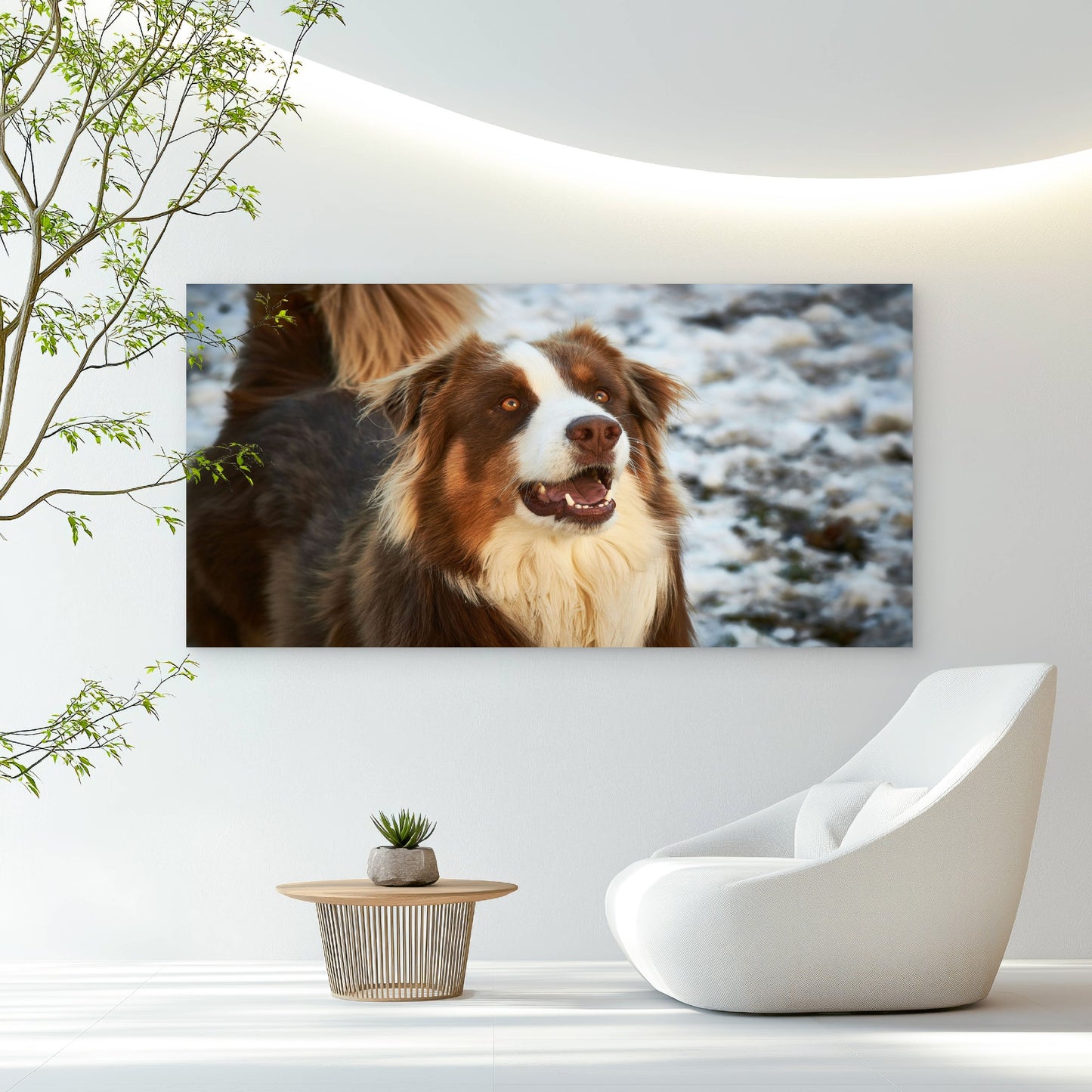 Red Tri Australian Shepherd Dog Wall Art Canvas Office Home Room Framed 120x60cm