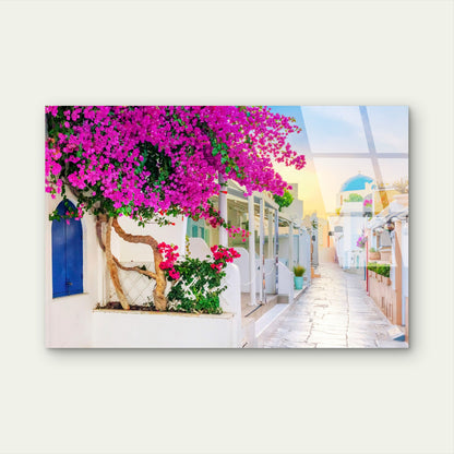 Santorini Greece Bougainvillea Alley Acrylic Glass Printing Wall Art Australian Made Quality