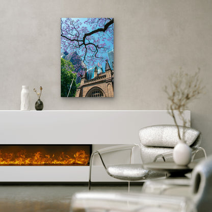 Jacaranda Tree Set Against A Cityscape 40x60cm Metal Print Ready to Hang