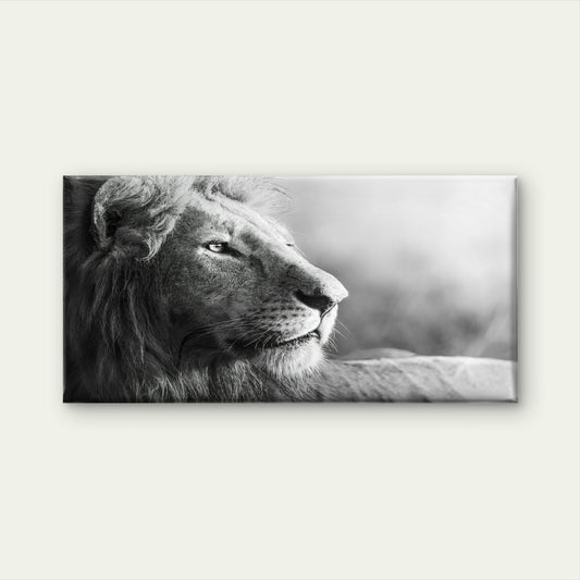 Black & White Majestic Lion Wall Art Canvas Office Home Room Framed 120x60cm
