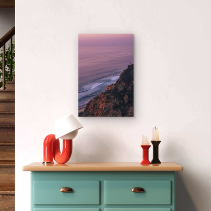 Torrey Pines State Natural Reserve In San Diego California 60x90cm Metal Print Ready to Hang