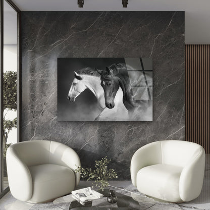 Black And White Wild Running Horse Acrylic Glass Printing Wall Art Australian Made Quality