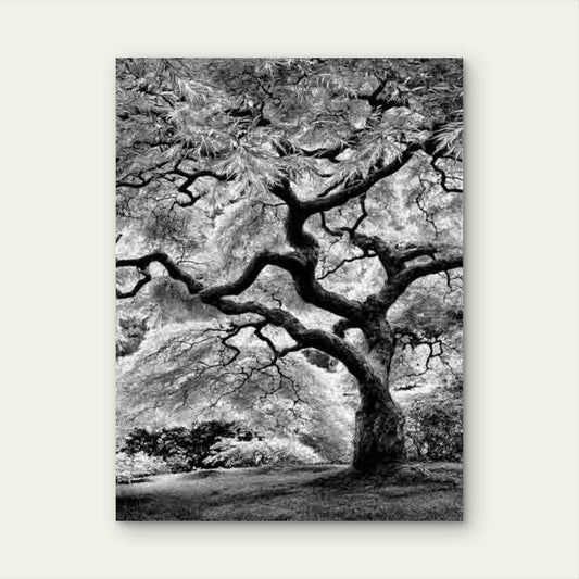 Black And White Manga Style Japanese Tree 40x60cm Metal Print Ready to Hang - Bella Home Decor