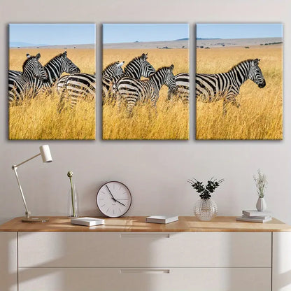 3pcs Black & White Zebra Horse Print Wall Art Set Canvas Framed 50x70cm - High Quality Print 100% Australian Made Wall Canvas Ready to Hang - Bella Home Decor
