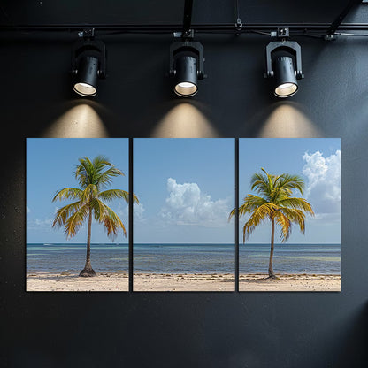 3pcs Tropical Beach Palm Trees Wall Art Set Canvas Framed 50x70cm - High Quality Print 100% Australian Made Wall Canvas Ready to Hang