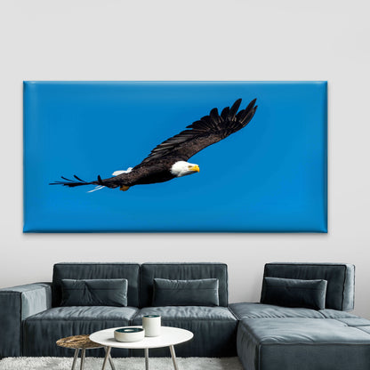 Shot of a Flying Bald Eagle Wall Art Canvas Office Home Room Framed 120x60cm