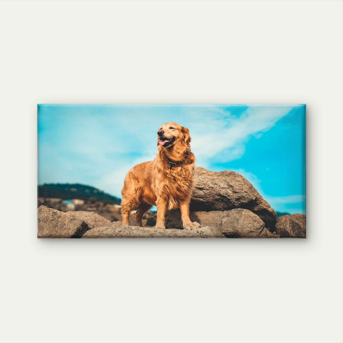 Golden Retriever On Rocks Wall Art Canvas Office Home Room Framed 120x60cm